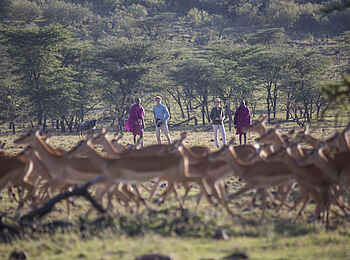 Richards River Camp: Walking Safari Richards River Camp: Walking Safari