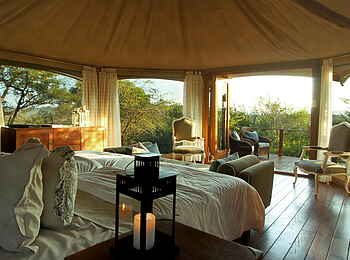 Thanda Tented Camp: Blick aus einem Zelt Thanda Tented Camp: Blick aus einem Zelt