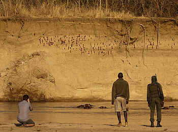 Luangwa River Camp: Karminspint-Kolonie Luangwa River Camp: Karminspint-Kolonie