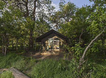 MmaTsebe Tented Camp: Zelt zwischen Mopane Bäumen