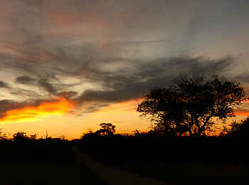 Motswari Game Lodge: Dämmerung im Panorama