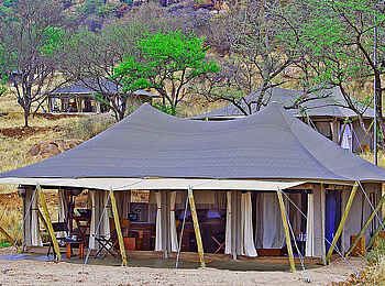 Serengeti Pioneer Camp: Gästezelt Serengeti Pioneer Camp: Gästezelt