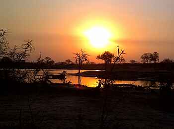 Simbambili Game Lodge: Dämmerung