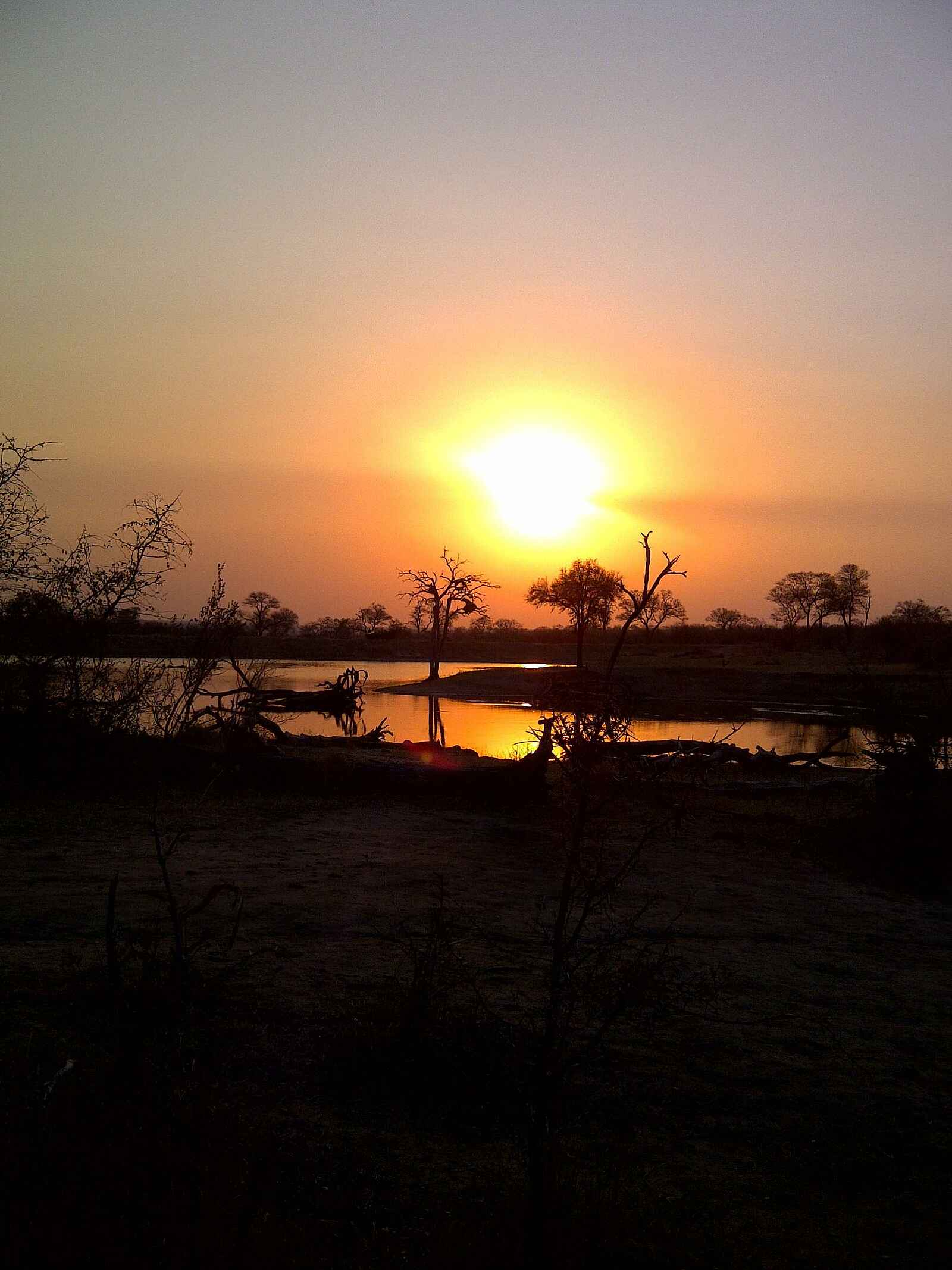 Simbambili Game Lodge: Dämmerung Simbambili Game Lodge: Dämmerung