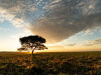 Singita Kilima Villa: Stimmung Singita Kilima Villa: Stimmung