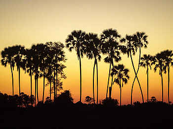 Tubu Tree Camp: Ein Sonnenuntergang im Okavango Delta