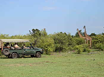 Naboisho Camp: Mit dem Geländefahrzeug unterwegs
