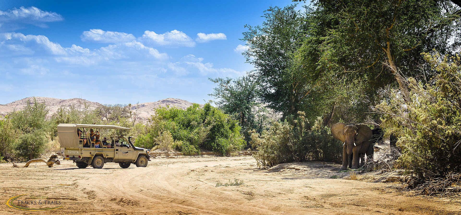 Elefanten, Namibia, Ozondjou, Ozondjou Trails, Trails, Wüste, Zelt, Zelte