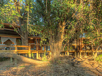 Camp Okavango: Family Suite Camp Okavango: Family Suite