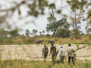 Kwihala Camp: Mensch und Elefant