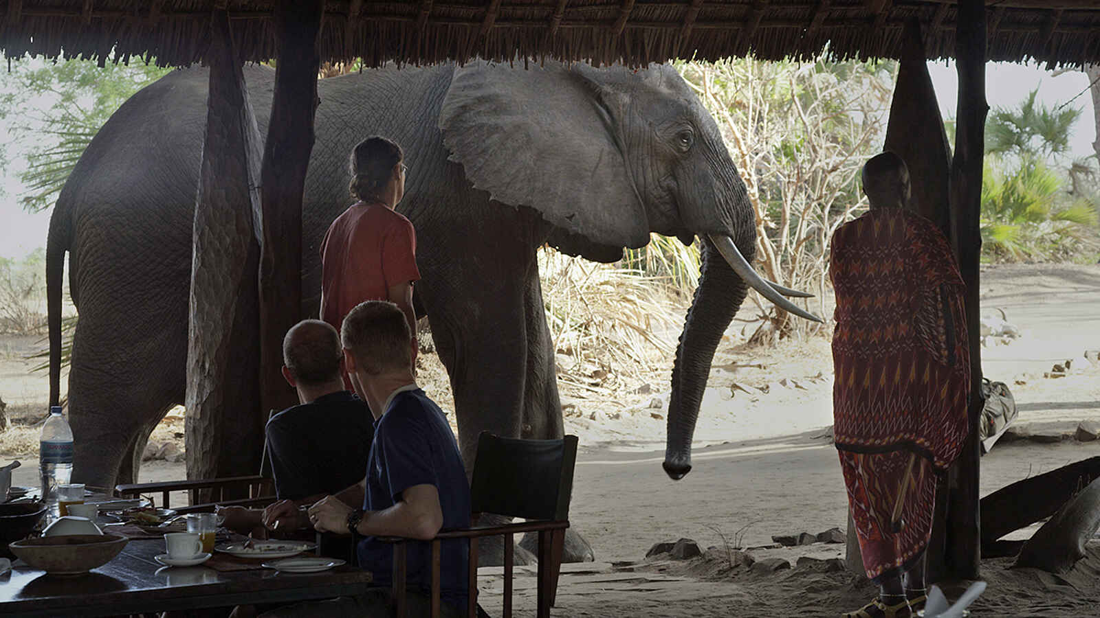 Lake Manze Camp: Besuch beim Frühstück Lake Manze Camp: Besuch beim Frühstück