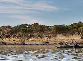 Sanctuary Swala: Kayaking
