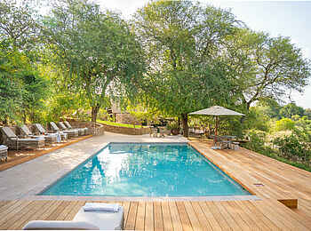 Thornybush Game Lodge: Der Pool Thornybush Game Lodge: Der Pool
