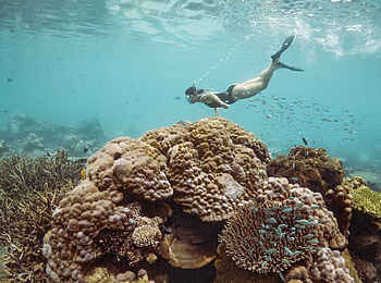 Time + Tide Tsara Komba: Schnorcheln vor Nosy Tanikely