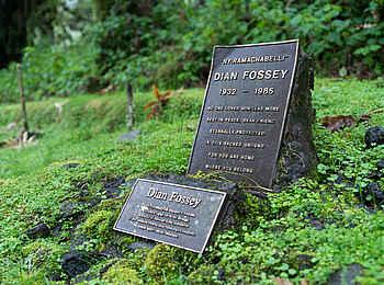 Wilderness Sabyinyo: Das Grab von Dian Fossey Wilderness Sabyinyo: Das Grab von Dian Fossey