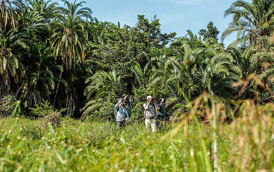 Lango Camp: Auf Entdeckungstour in der vielfältigen Vegetation Lango Camp: Auf Entdeckungstour in der vielfältigen Vegetation