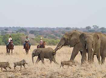 Mashatu Game Reserve: Reiter in der Savanne