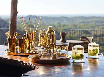 Singita Pamushana Lodge: Drinks auf der Bar
