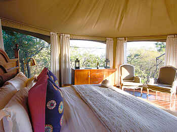 Thanda Tented Camp: Blick aus dem Bett Thanda Tented Camp: Blick aus dem Bett