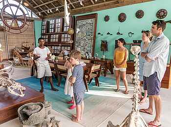 Time + Tide Miavana: Im Cabinet of Curiosities