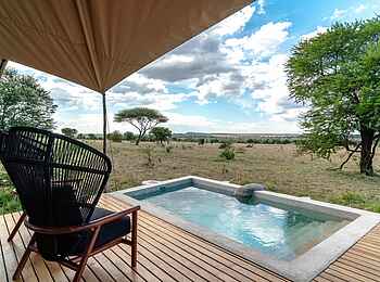Warangi Ridge Lodge: Plungepool