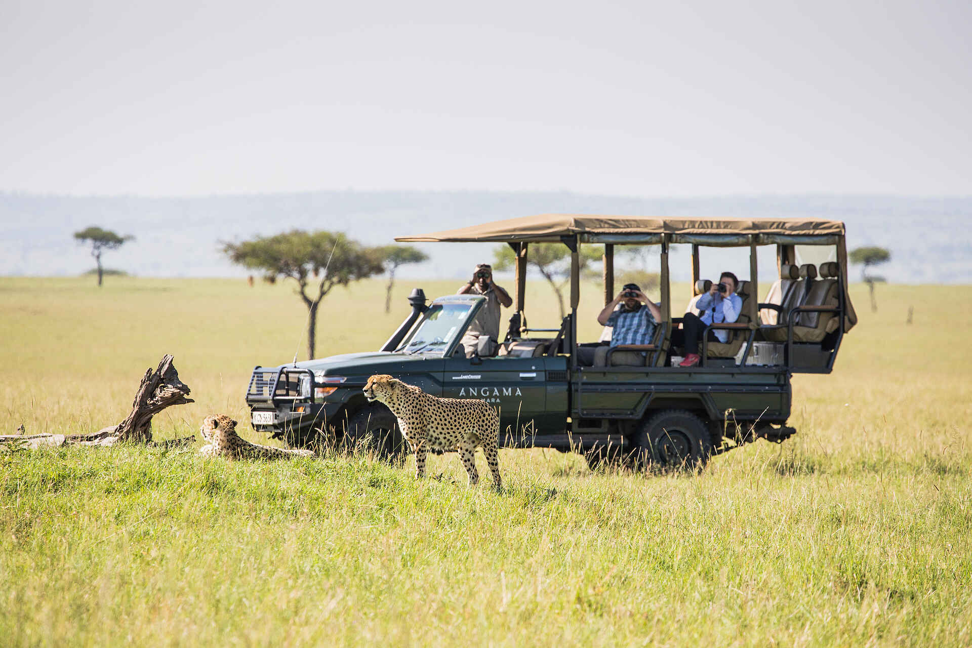 Angama Mara: Pirschfahrt
