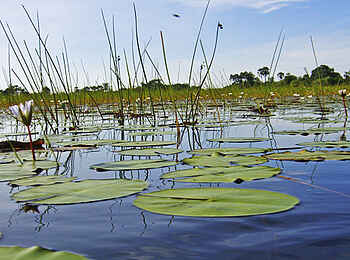 Edo's Camp: Landschaftsbild Edo's Camp: Landschaftsbild