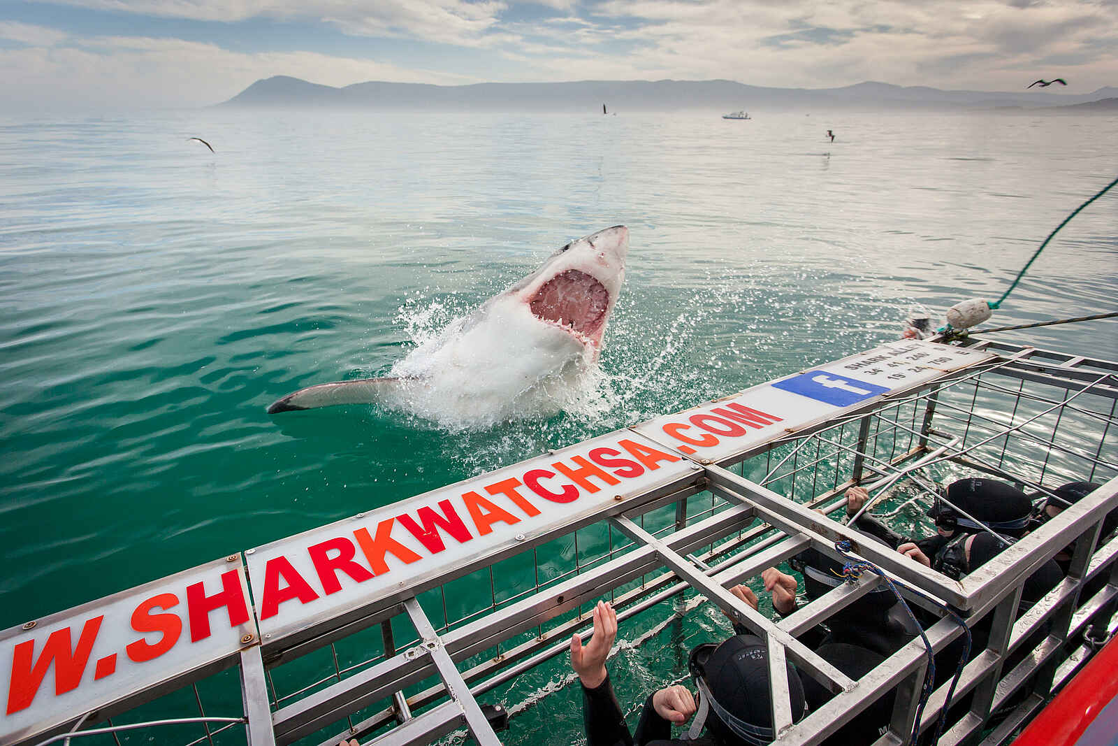 Grootbos Private Villas: Hai Käfig Grootbos Private Villas: Hai Käfig