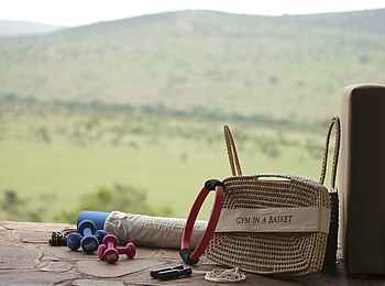 Klein's Camp: Gym in a Basket