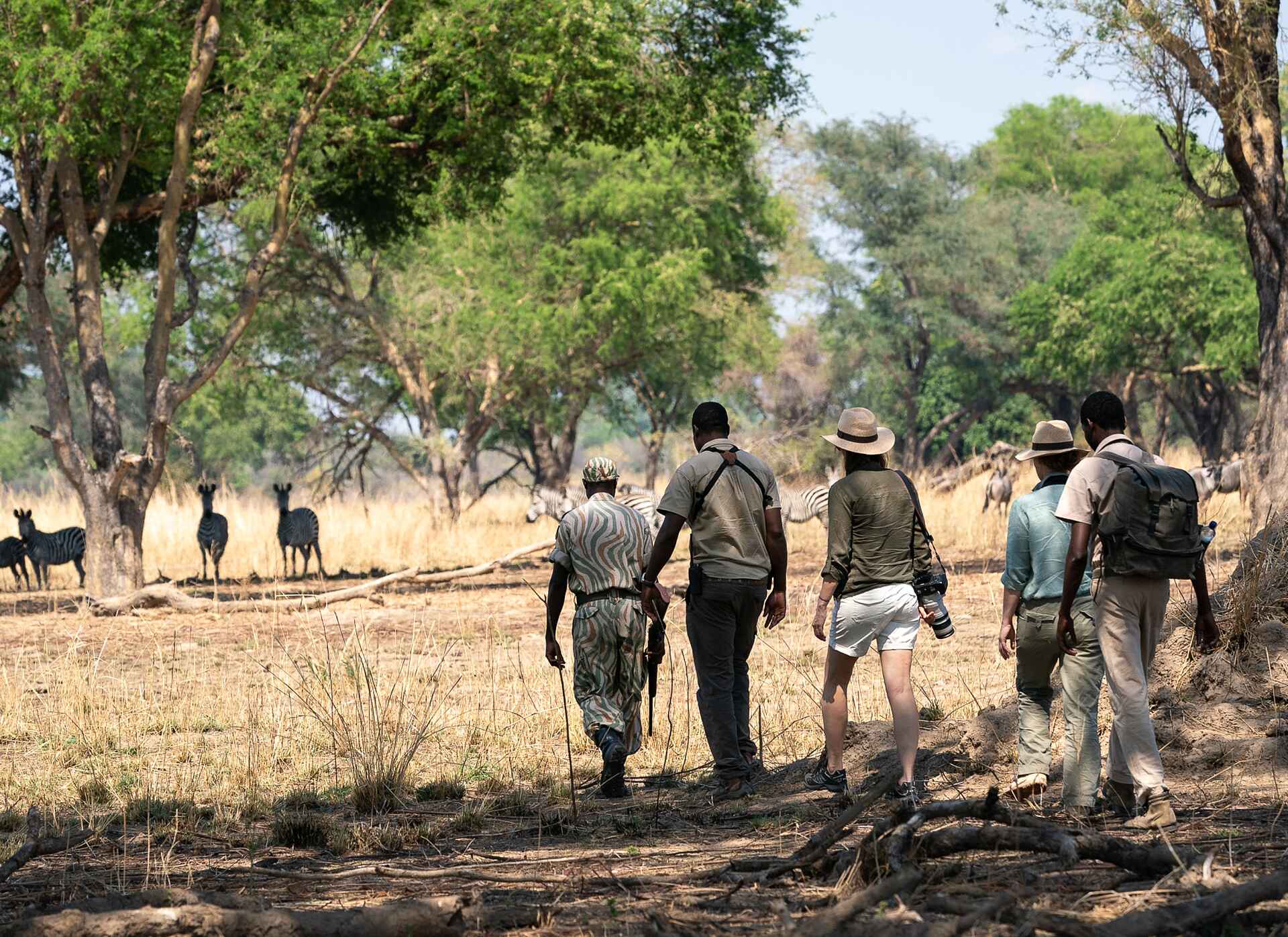 Mobile Walking Safari: Begegnung mit Zebras Mobile Walking Safari: Begegnung mit Zebras