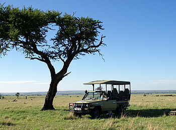 Sayari Camp: Picknick unter einem Baum Sayari Camp: Picknick unter einem Baum