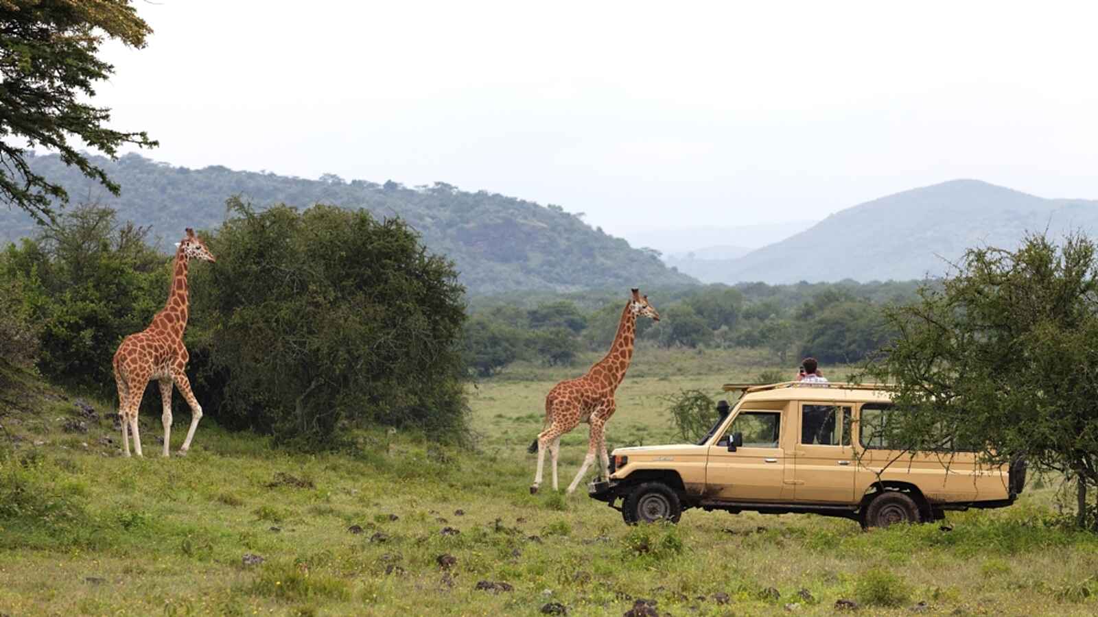 Sleeping Warrior Lodge: Unterwegs im Nakuru Nationalpark Sleeping Warrior Lodge: Unterwegs im Nakuru Nationalpark