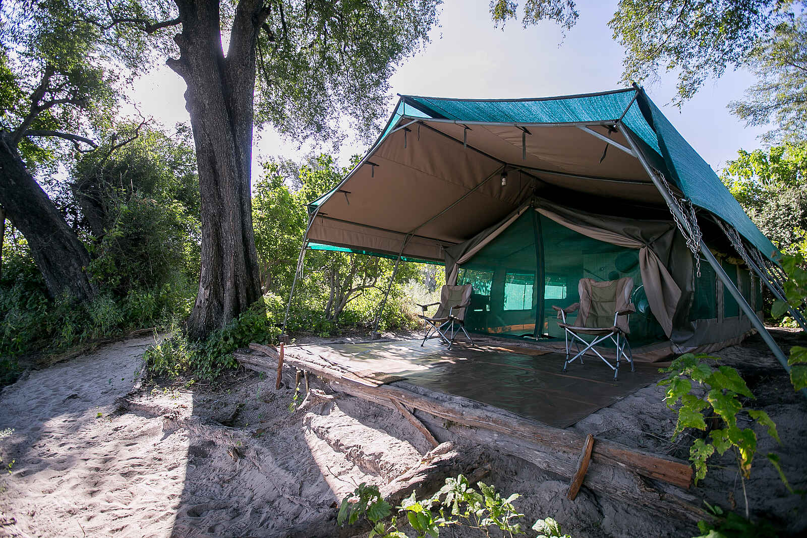 Bushman Plains Camp: Zelt mit Vordach Bushman Plains Camp: Zelt mit Vordach