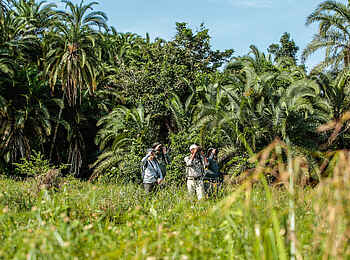Lango Camp: Auf Entdeckungstour in der vielfältigen Vegetation Lango Camp: Auf Entdeckungstour in der vielfältigen Vegetation