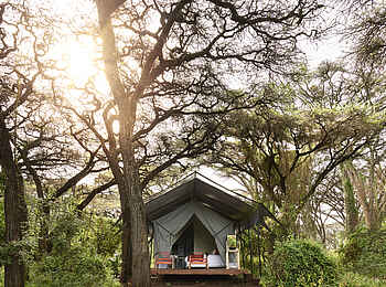 Sanctuary Ngorongoro Crater Camp: Blick auf ein Zelt