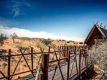 !Xaus Lodge: Walkway - Holzsteg !Xaus Lodge: Walkway - Holzsteg