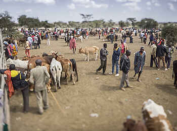 Basecamp Mara Houses: Ein Markt Basecamp Mara Houses: Ein Markt