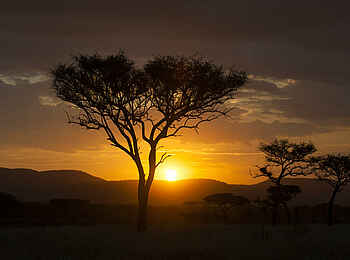 Bologonya Under Canvas: Malerischer Sonnenuntergang
