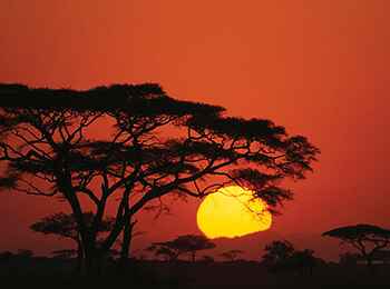 Four Seasons Safari Lodge: Sonnenuntergang Four Seasons Safari Lodge: Sonnenuntergang