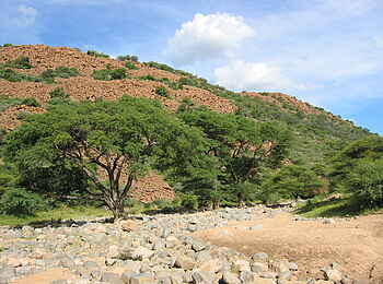 Khama Rhino Sanctuary: Trockener Bachlauf Khama Rhino Sanctuary: Trockener Bachlauf