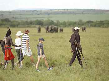 Kichwa Tembo Tented Camp: Elefantenbeobachtung Kichwa Tembo Tented Camp: Elefantenbeobachtung