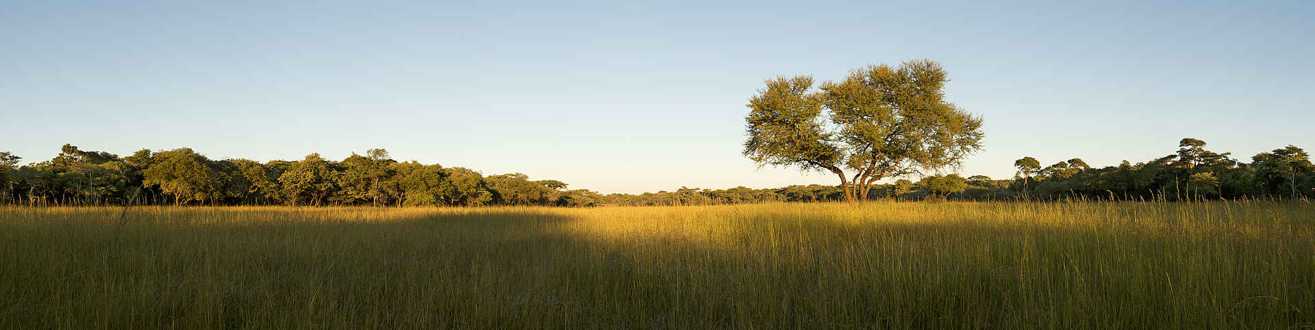 Brendan Raisbeck, Elephant Nursery, Lilayi, Lodge, Lusaka, Miller Lilayi Farm, Zambian Heritage, Graslandschaft, Panorama, Savanne, Afrikarma, Afrikarma Safaris, Afrikarma.de