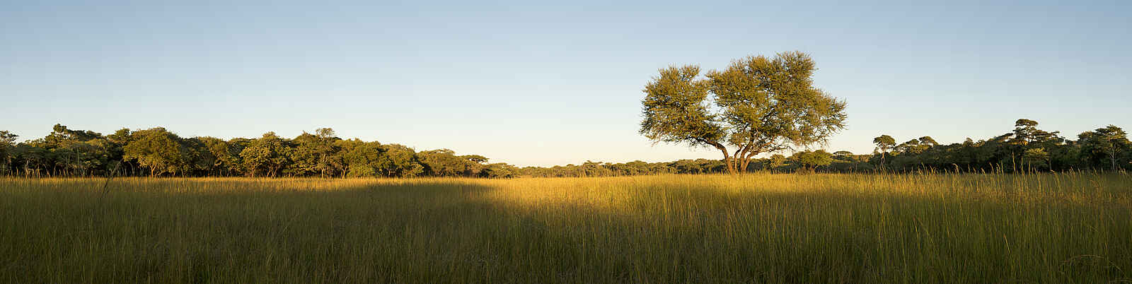 Lilayi: Savannenpanorama Lilayi: Savannenpanorama