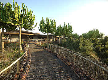 Mashatu Euphorbia Villas: Weg vom Aussichtspunkt zur Bar