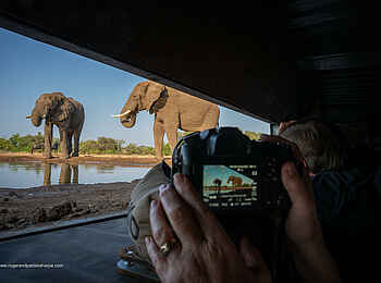 Mashatu Lodge: Foto-Hide am Wasserloch Mashatu Lodge: Foto-Hide am Wasserloch