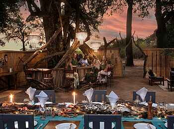 Mwamba Bush Camp: Dinner unter freiem Sternenhimmel Mwamba Bush Camp: Dinner unter freiem Sternenhimmel