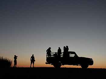 Okutala Lodge: Safari bei Sonnenuntergang Okutala Lodge: Safari bei Sonnenuntergang
