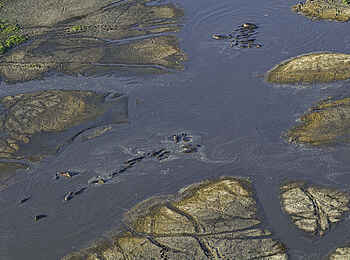 Shumba Camp: Schwemmebenen Shumba Camp: Schwemmebenen