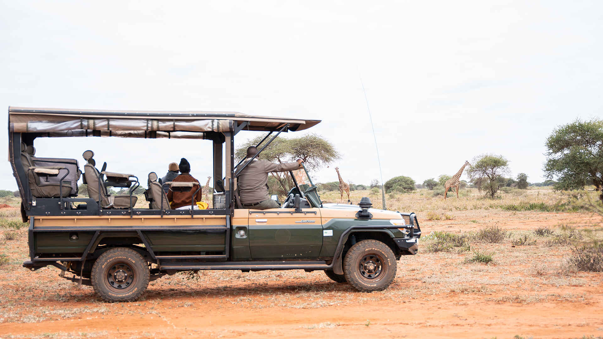 Soroi Cheetah Tented Camp: Giraffen auf Pirschfahrt beobachten Soroi Cheetah Tented Camp: Giraffen auf Pirschfahrt beobachten