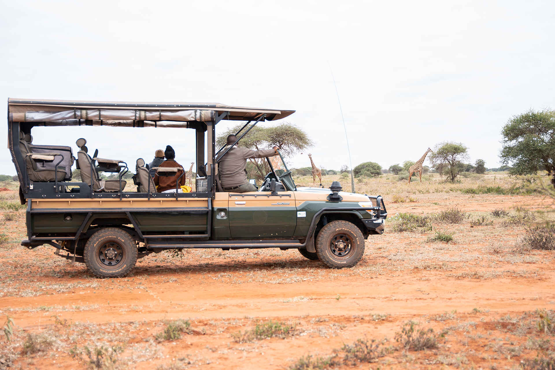 Soroi Cheetah Tented Camp: Giraffen auf Pirschfahrt beobachten